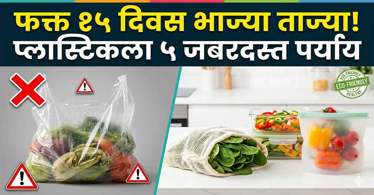 best plastic bag alternatives for fridge