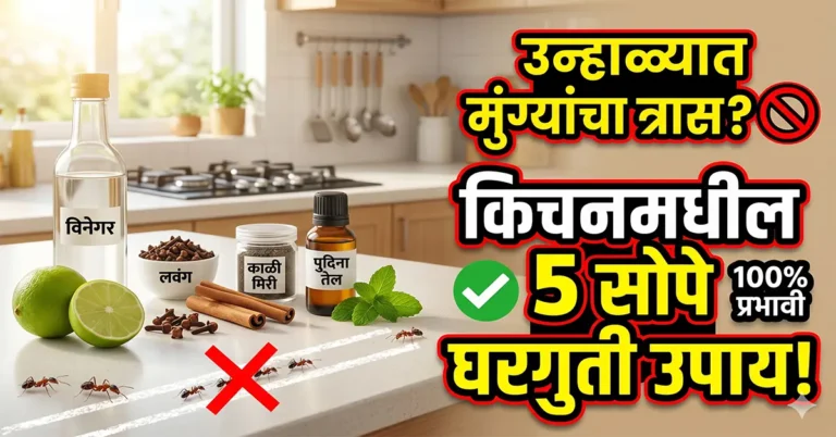 how to get rid of ants in kitchen naturally
