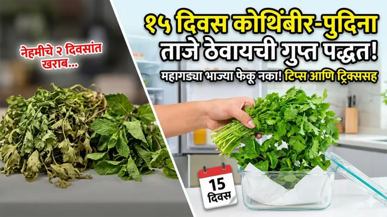 how to keep coriander and mint fresh
