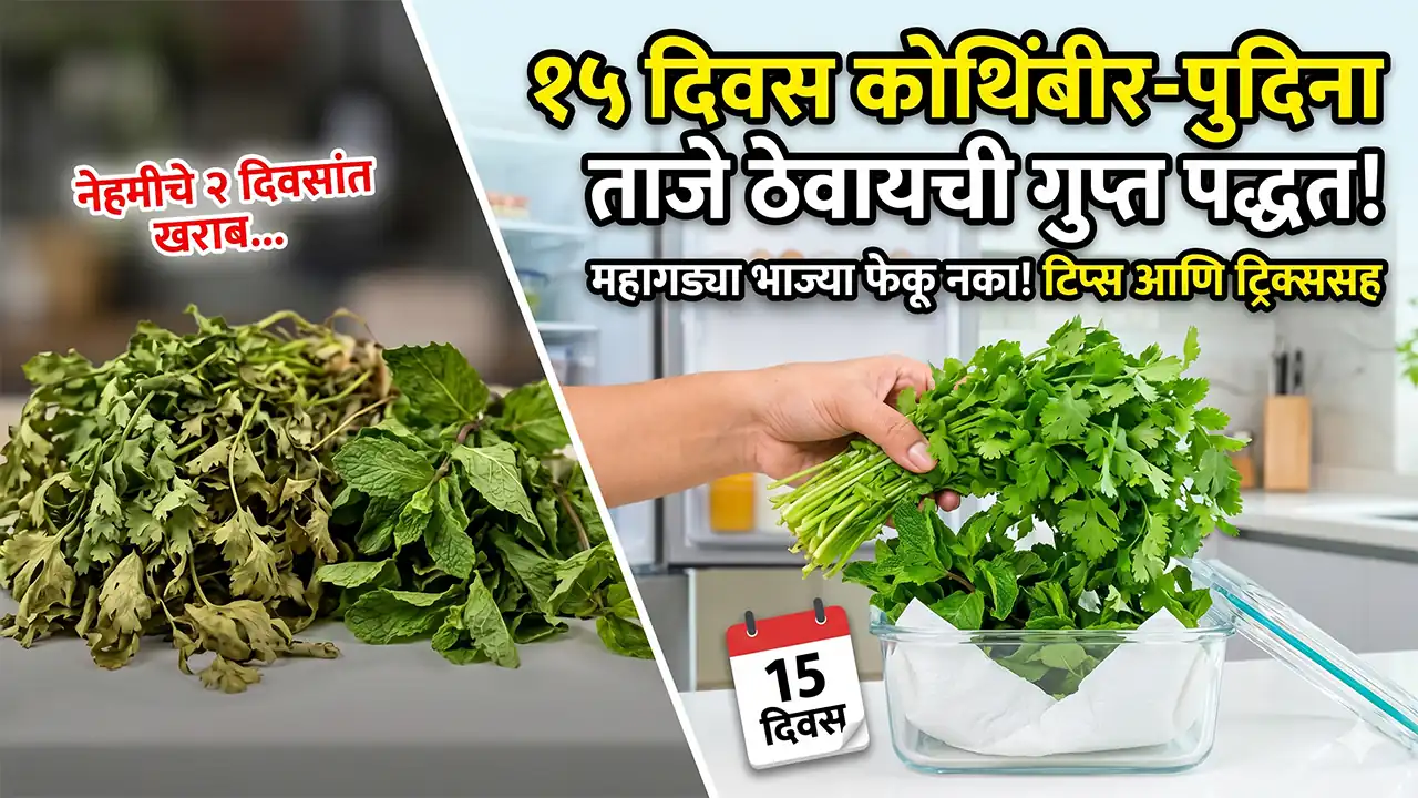 how to keep coriander and mint fresh