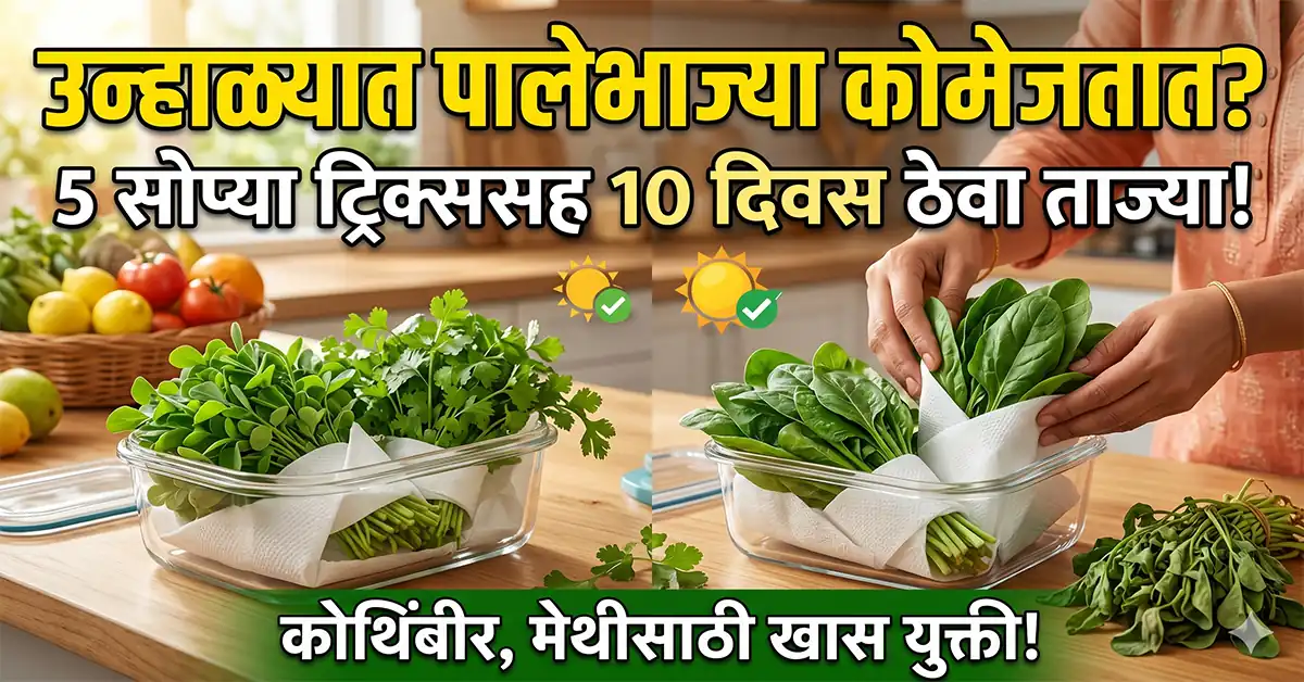 how to keep leafy vegetables fresh in summer