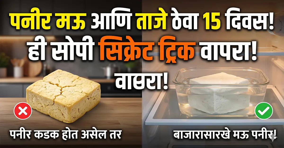 how to keep paneer fresh and soft for longer