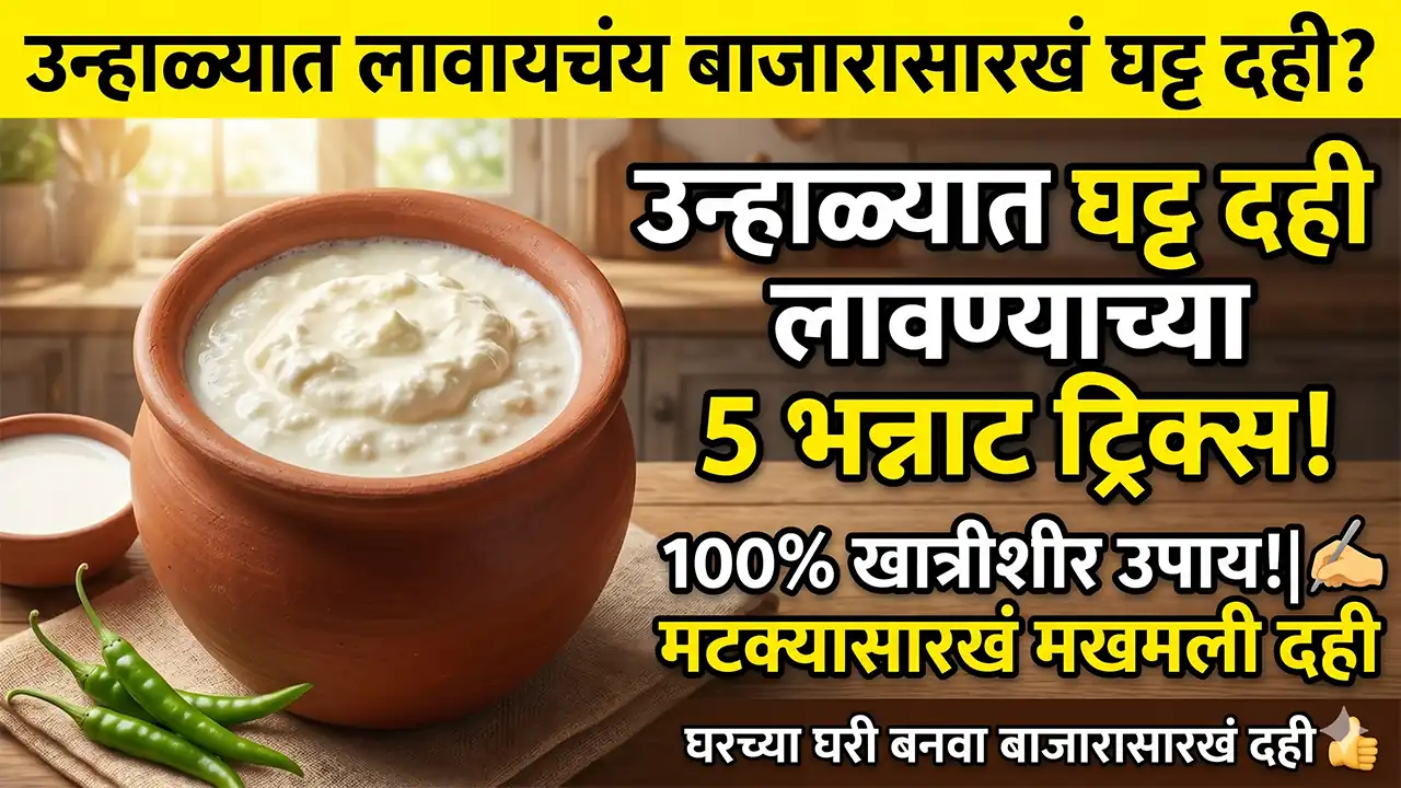 how to make thick sweet curd in summer