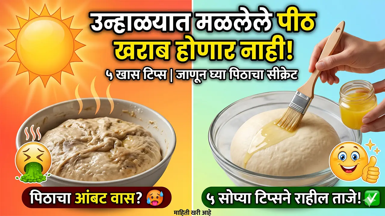 how to prevent wheat dough from souring in summer