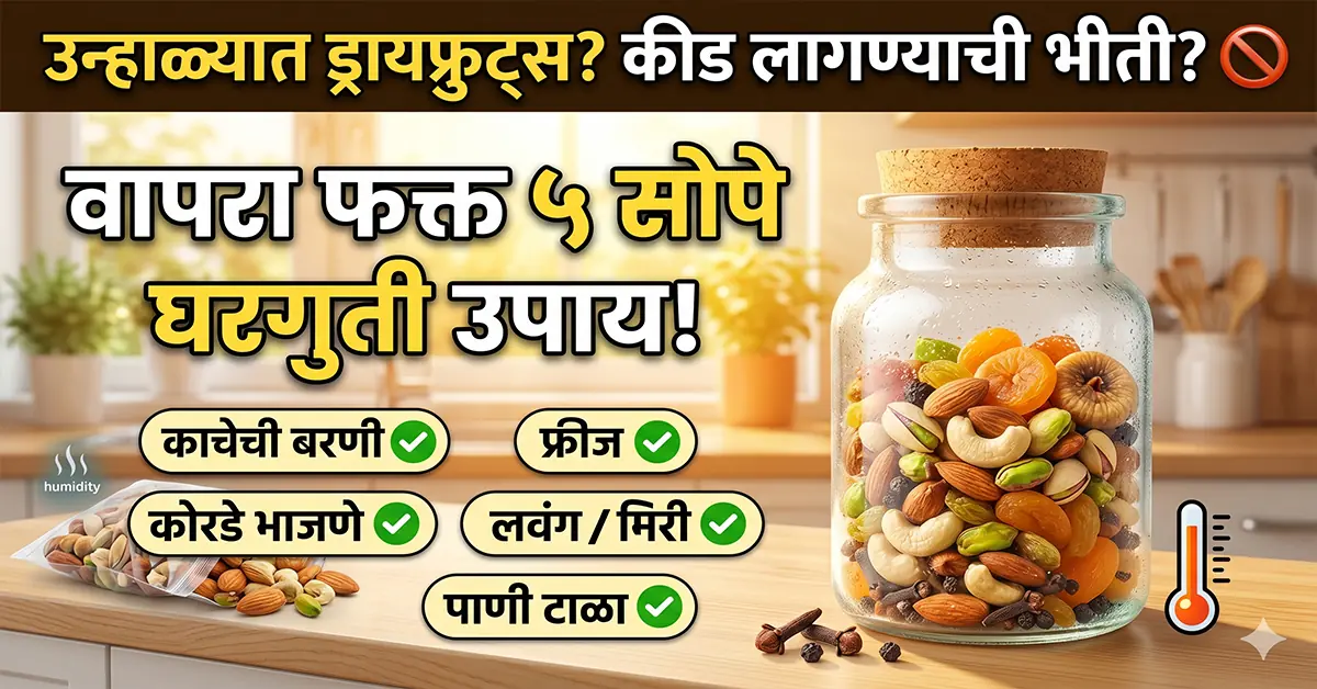 how to store dry fruits in summer