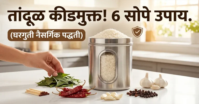 How to protect rice from bugs in summer