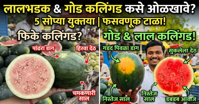 how to choose a good sweet watermelon