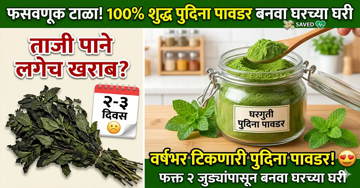how to make mint powder at home