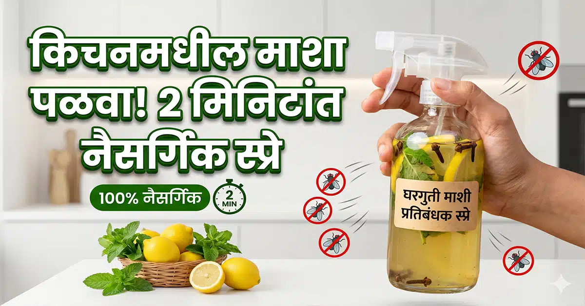 natural homemade fly repellent spray