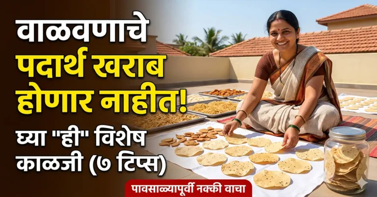 summer sun dried food precautions maharashtra