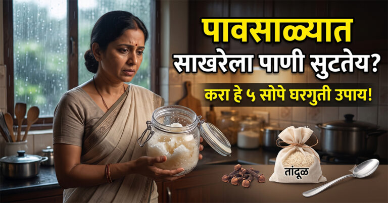 how to keep sugar dry in monsoon