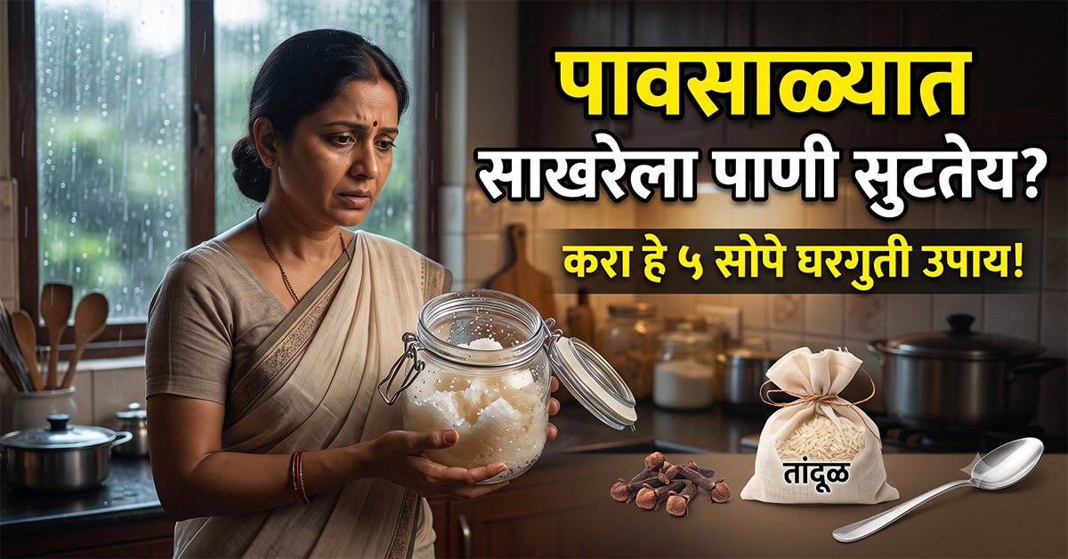 how to keep sugar dry in monsoon