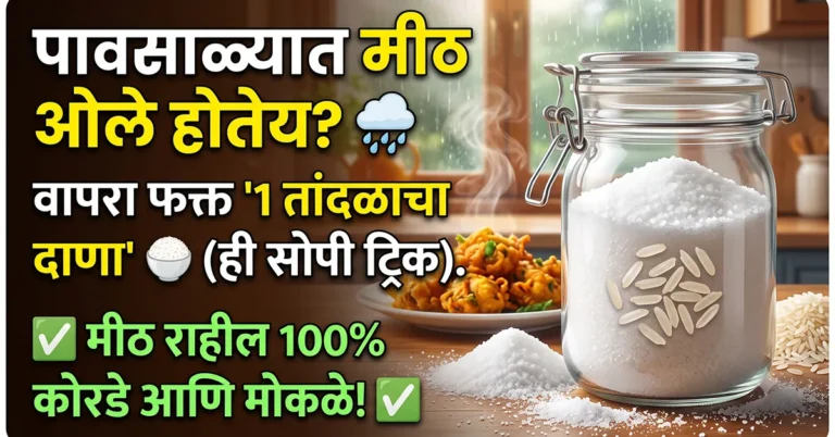 how to keep salt dry in monsoon